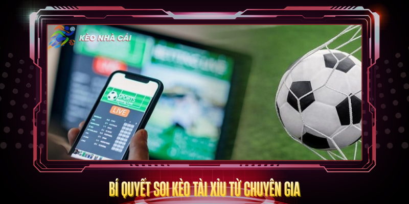 Kèo Tài Xỉu Over Under - Bí Quyết Soi Kèo Chính Xác 5 Bi Quyet Soi Keo Tai Xiu Tu Chuyen Gia