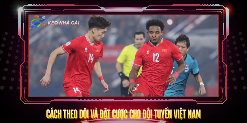 Cach Theo Doi Va Dat Cuoc Cho Doi Tuyen Viet Nam