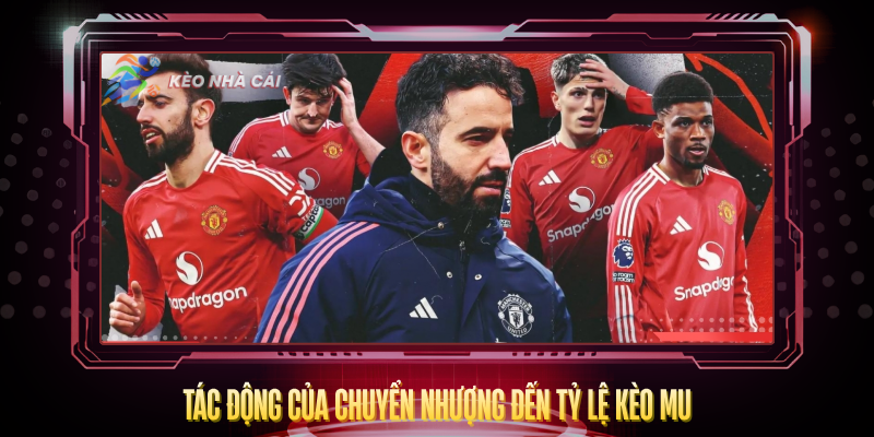 Chuyển Nhượng MU 2026 – Những Thương Vụ Đáng Chú Ý Nhất 4 Tac Dong Cua Chuyen Nhuong Den Ty Le Keo Mu
