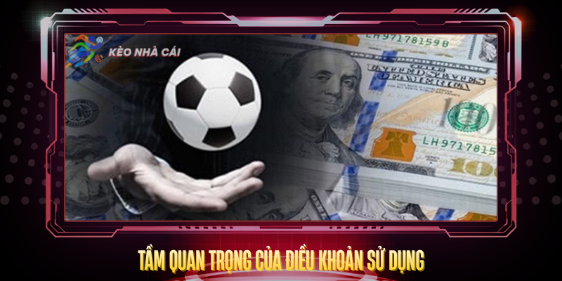 Điều Khoản Sử Dụng - Hướng Dẫn Chi Tiết Cho Người Chơi 1 Tam Quan Trong Cua Dieu Khoan Su Dung
