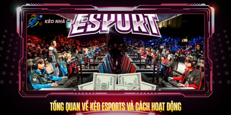 Kèo eSports – Tỷ Lệ Hấp Dẫn Và Cách Cược Thắng 2 Tong Quan Ve Keo Esports Va Cach Hoat Dong